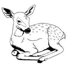 Animal head coloring pages at getdrawings free download. Top 25 Free Printable Wild Animals Coloring Pages Online Deer Coloring Pages Animal Coloring Books Coloring Pictures Of Animals
