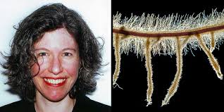 U.S. Botanic Garden created an event.