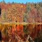 Return to Wholeness - One-day Retreat for Mind event image