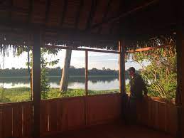Pisatahua Cabin View Amazon Rainforest Rainforest Retreat