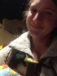 Lost domesticated duck in yard?