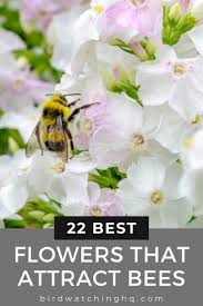 Most perennials are typically easy to plant, easy to grow, and require very little attention to flourish. 22 Proven Flowers That Attract Bees 2021 Guide Bird Watching Hq Pollinator Garden Bee Garden Attracting Bees