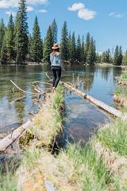 Each one provides the latest makes and models and offers. Top 11 Things To Do In Island Park Idaho Full Guide