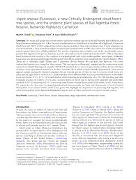 Image result for Vepris bachmannii