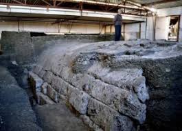 Image result for Vepris macedoi