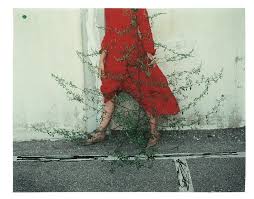 I want you to think of your photo shoot as an hour of. Tender Scenes By Little Known Photographer Kate Barry Another