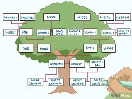 How to Draw a Family Tree: Step-by-Step Guide (with Pictures)
