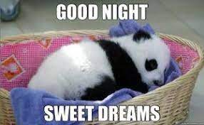 75 Hilarious Good Night Memes Images Pics Good Night Funny Cute Good Night Good Night Hug