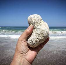 Ambergris is a resource in the genesis: Ambergris Hussain Posts Facebook