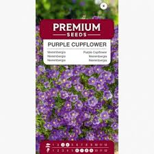 Image result for Nierembergia hippomanica