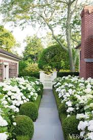 House Tour Elegant Southampton Cottage In 2020 Garden Pictures Hydrangea Garden Hydrangea Landscaping