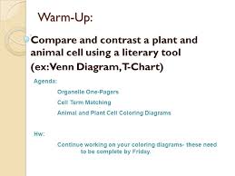 Check spelling or type a new query. Warm Up Describe The Function Of The Cell Membrane Agenda Organelle One Pagers Cell Term Matching Animal And Plant Cell Coloring Diagrams Hw Continue Ppt Download