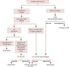 Image result for Genitourinary Trauma