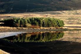 بأنّها مدينة إيطالية تقع في مقاطعة توسكانا التي تُعد فلورنسا عاصمتها؛ فهي المدينة الأكثر اكتظاظًا بالسكان في توسكانا، حيث تقع مدينة. Ø¹Ø§ØµÙ…Ø© Ø§Ø³ÙƒØªÙ„Ù†Ø¯Ø§ Ø§Ø³Ù…