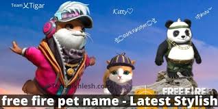 There are some characters that. Free Fire Pet Name Latest Stylish Name 2020