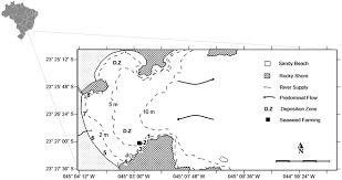 Maybe you would like to learn more about one of these? Monitoring Environmental Risk Of The Exotic Species Kappaphycus Alvarezii Rhodophyta After Two Decades Of Introduction In Southeastern Brazil