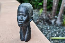 Image result for Dalbergia melanoxylon