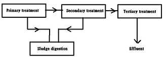 Role Of Microorganisms In Sewage Treatment Microbewiki