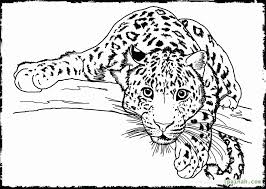 All you need is photoshop (or similar), a good photo, and a couple of minutes. Free Coloring Pages Animals Realistic In 2020 Detailed Coloring Coloring Home