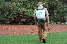 When you begin contacting home care agencies in greenville, sc you need to make sure they have experience managing the exact type of senior care your loved. Lawn Care Lawn Fertilizer Services Greenville Sc