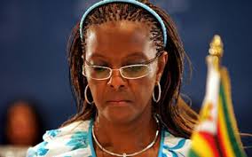 Image result for grace mugabe investigated for ivory smuggling