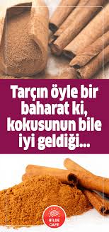 Tarcinin Faydalari Nelerdir Altindan Daha Degerliydi Saglikli Yasam Saglikli Icecekler Sifali Otlar