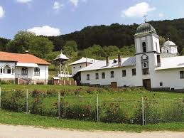 Check spelling or type a new query. Cazare In Valea Oltului Descoperimromania Ro