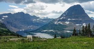 Check spelling or type a new query. Glacier National Park Backpacking Guide Cleverhiker