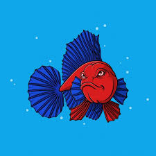 Hand Drawn Betta Fish In 2020 Betta Fish Betta How To Draw Hands