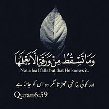 #quran #qur'an #quranic wisdom #quote #beautiful #islam #muslim #muslimah #deen #good #m. Pin On Quranic Verses