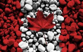 Image result for canada day image