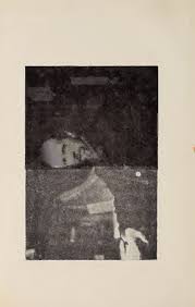 Image result for Raphidiocystis phyllocalyx