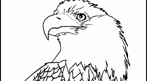 Includes animal habitats, vertebrates and invertebrates, animal adaptations & more! Eagle Head Colouring Pages Page 2 Coloring Home