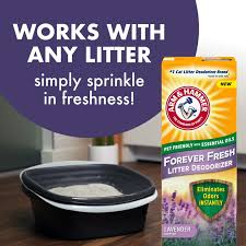 Arm & Hammer Cat Litter Deodorizer With Baking Soda (20Oz/30Oz) | Lazada