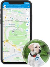 Hast du dir vielleicht einen hund zugelegt? Combi Protect Gps Tracker Fur Ihren Hund Telekom