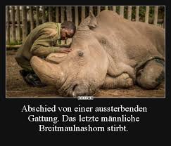 Abschied Von Einer Aussterbenden Gattung Lustige Bilder Spruche Witze Echt Lustig