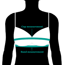 Using just a measuring tape, we can guide you through the process of finding your accurate bra size. How To Measure For A Bra Sizecharter