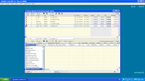 Denumirea mijlocului fix i caracteristici data drii n folosin. Contabilitatea Pe InÈelesul Tuturor Xii Conferinte Video In Direct