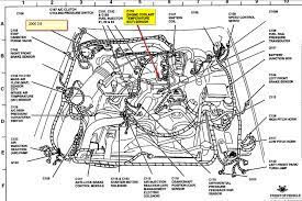 An electrical diagram can indicate all the interconnections, indicating their relative positions. 1999 Mustang Engine Diagram Academy Licenses Wiring Diagram Snapshot Academy Licenses Palmamobili It
