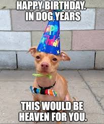 Enjoy life to the fullest, my dear. 250 Funny Birthday Wishes That Will Surely Make Them Smile