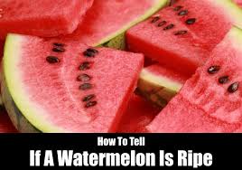 Jun 13, 2021 · the first step to find out whether your watermelon has gone bad is to spot for signs. How To Tell If A Watermelon Is Ripe Kitchensanity