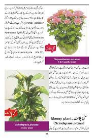 Pin On Plants