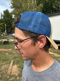 What is the difference between a bee and a wasp?