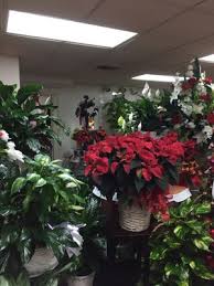 We did not find results for: Flowers By Buck 845 Adams Ave Montgomery Al Florists Mapquest