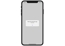I decided to make a basic iphone app for them. Chapter 3 Hello World Build Your First App In Swift Beginning Ios Programming With Swift Ios 14 Sample