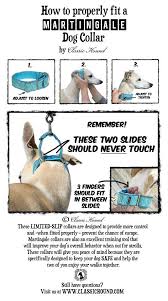 Check spelling or type a new query. How To Properly Fit A Martingale Style Dog Collar Via Classic Hound Collar Co Martingale Dog Collar Martingale Dog Greyhound Collar
