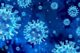 Log in or create a walgreens pharmacy account. How And When Will We Know That A Covid 19 Vaccine Is Safe And Effective Phillyvoice
