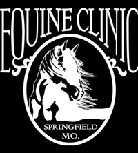 Below is a list of the current openings with our company. Equine Clinic Equine Clinic