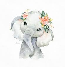 Baby Animals Watercolor Etsy 15 Ideas Baby Animal Drawings Elephant Clip Art Elephant Drawing