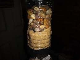 Countertop water filters make a great alternative to the faucet or under sink filter. Diy Water Filter 9 Steps Instructables